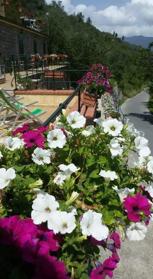 B&B Le Colline Di Bana Camogli Exterior foto